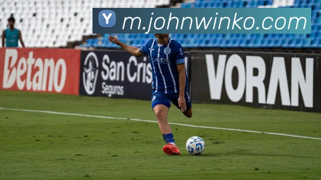 互动解说服务